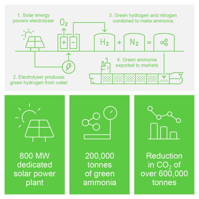 green-ammonia-uae